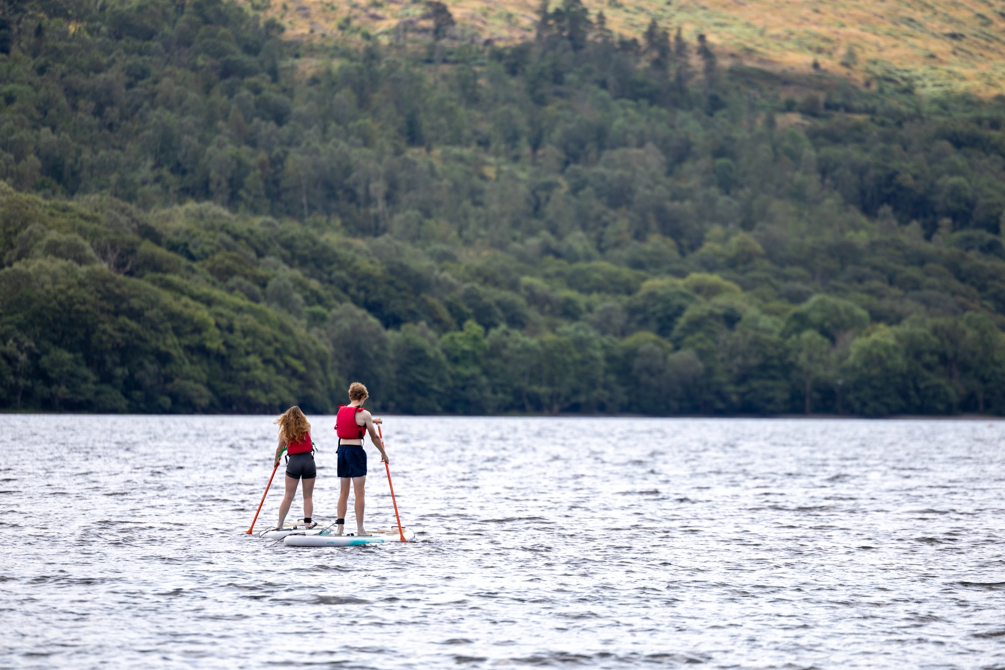 Two young adults paddle boarding on a lake with a woodland backdrop